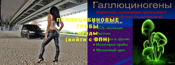 прущие крисы Беломорск