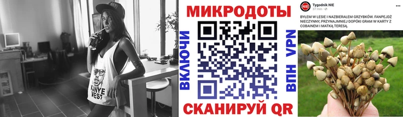 Псилоцибиновые грибы Psilocybine cubensis  kraken ТОР  Севск 