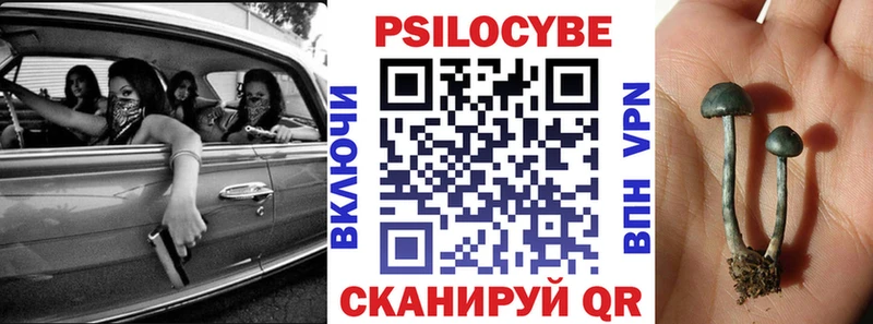 Галлюциногенные грибы Psilocybine cubensis Севск